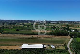 SERDİVAN UZUNKÖYDE 3640M2 TAM DONANIMLI BÜYÜKBAŞ HAYVAN ÇİFTLİĞİ - 1 - 377749