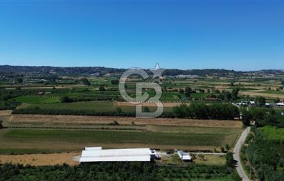 SERDİVAN UZUNKÖYDE 3640M2 TAM DONANIMLI BÜYÜKBAŞ HAYVAN ÇİFTLİĞİ