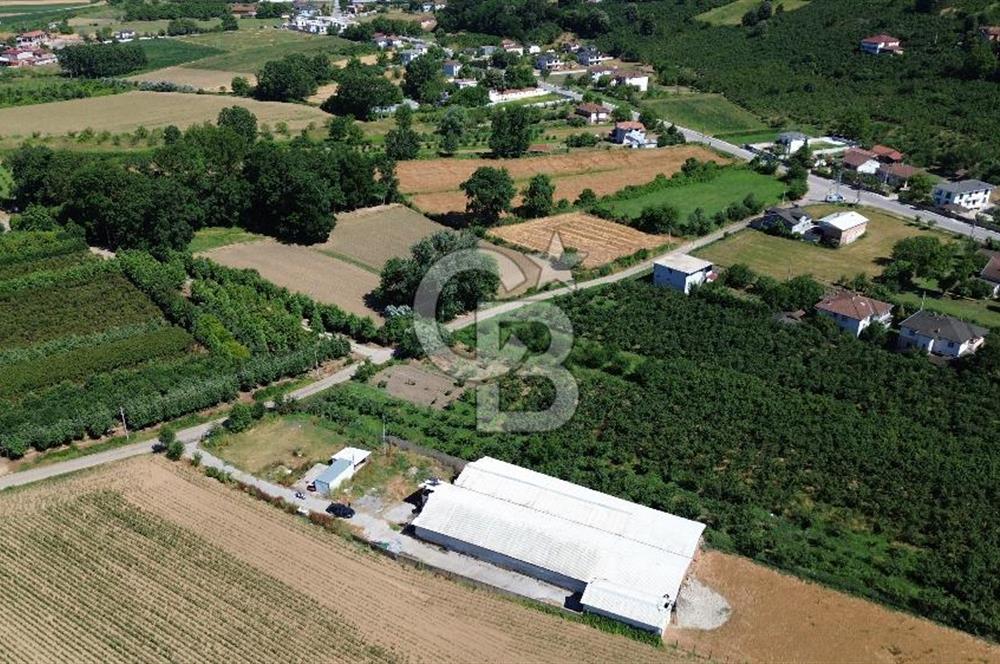 SERDİVAN UZUNKÖYDE 3640M2 TAM DONANIMLI BÜYÜKBAŞ HAYVAN ÇİFTLİĞİ