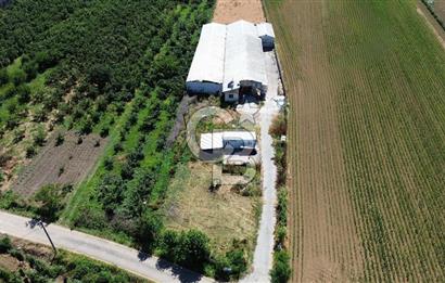 SERDİVAN UZUNKÖYDE 3640M2 TAM DONANIMLI BÜYÜKBAŞ HAYVAN ÇİFTLİĞİ