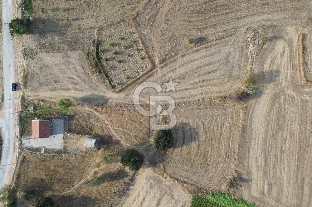 ÇANAKKALE ECEABAT KUMKÖYDE 2 DÖNÜM SATILIK TARLA