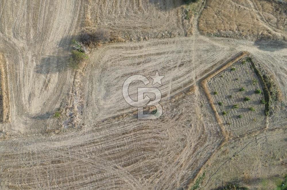 ÇANAKKALE ECEABAT KUMKÖYDE 2 DÖNÜM SATILIK TARLA