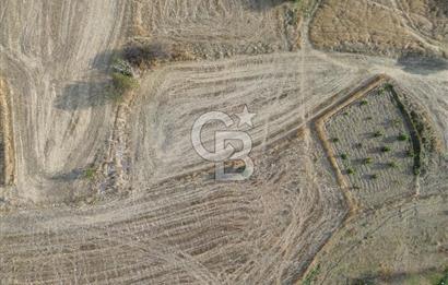 ÇANAKKALE ECEABAT KUMKÖYDE 2 DÖNÜM SATILIK TARLA
