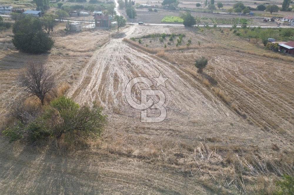 ÇANAKKALE ECEABAT KUMKÖYDE 2 DÖNÜM SATILIK TARLA