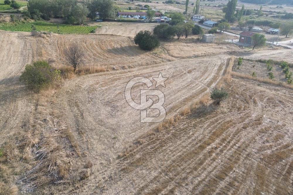ÇANAKKALE ECEABAT KUMKÖYDE 2 DÖNÜM SATILIK TARLA