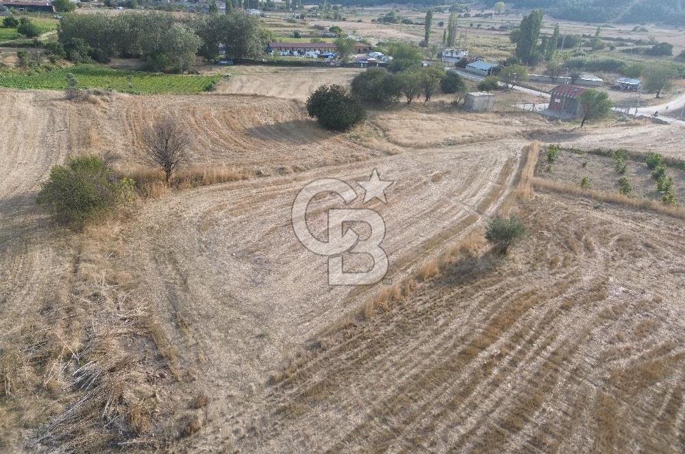 ÇANAKKALE ECEABAT KUMKÖYDE 2 DÖNÜM SATILIK TARLA