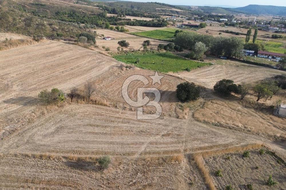 ÇANAKKALE ECEABAT KUMKÖYDE 2 DÖNÜM SATILIK TARLA