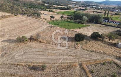 ÇANAKKALE ECEABAT KUMKÖYDE 2 DÖNÜM SATILIK TARLA