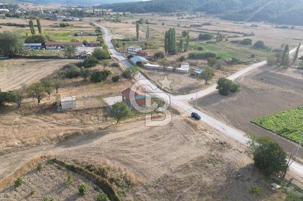 ÇANAKKALE ECEABAT KUMKÖYDE YOLA CEPHE SATILIK TARLA