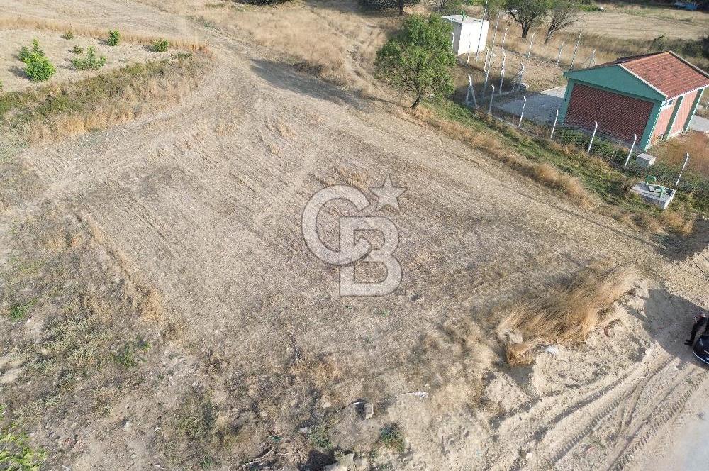 ÇANAKKALE ECEABAT KUMKÖYDE YOLA CEPHE SATILIK TARLA