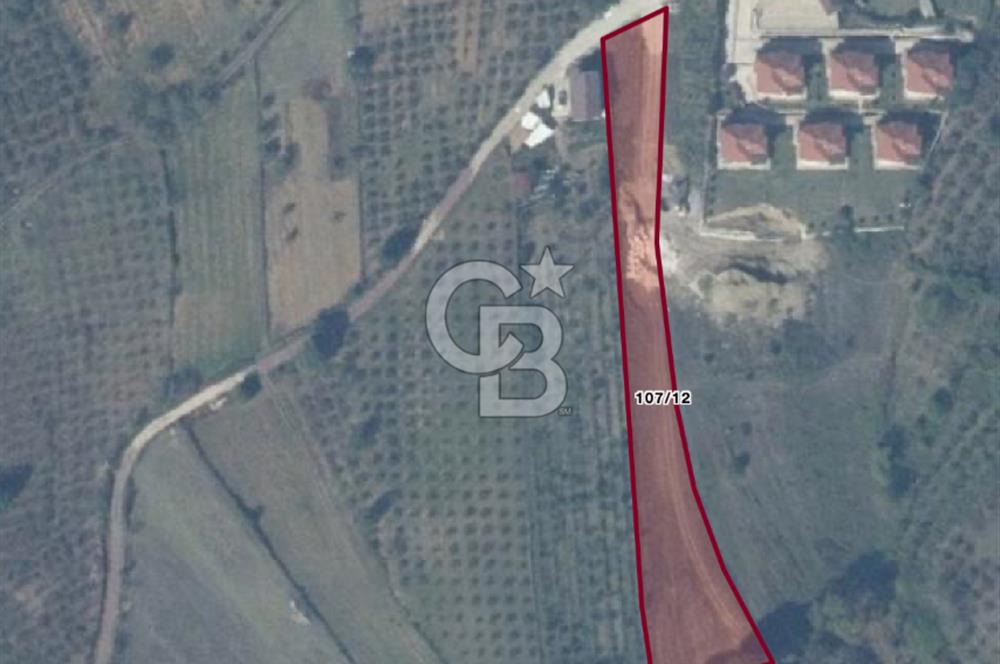 Kandıra Hacımazlı Köyiçi 3071 m² Satılık İmarlı Altyapılı Arsa