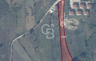 Kandıra Hacımazlı Köyiçi 3071 m² Satılık İmarlı Altyapılı Arsa