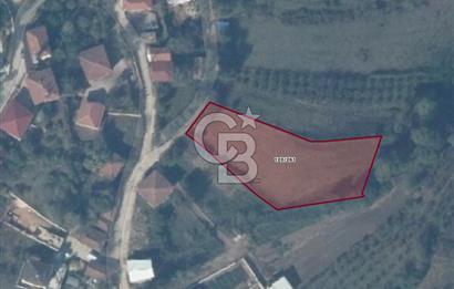 KANDIRA HACIMAZLI KÖY MERKEZİNDE %40 İMARLI 2019 m² ARSA