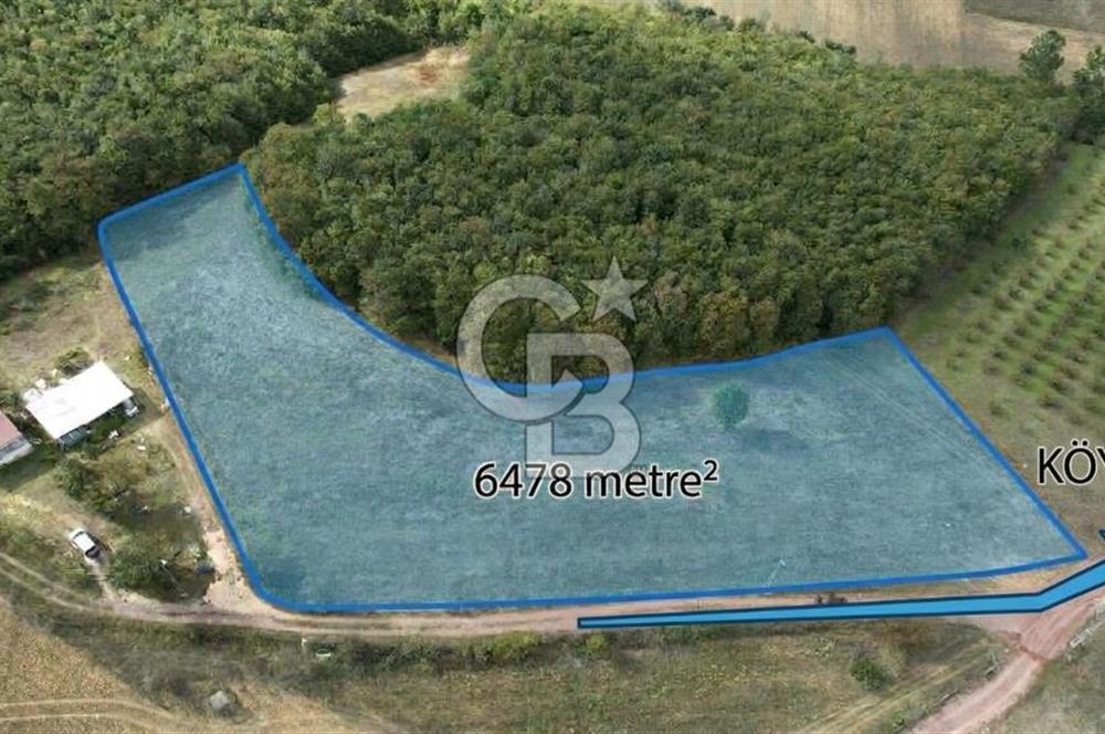 SÜVERLERDE 6.478 m² %5 İMARLI, ALTYAPILI, DOĞAYLA İÇ İÇE TARLA