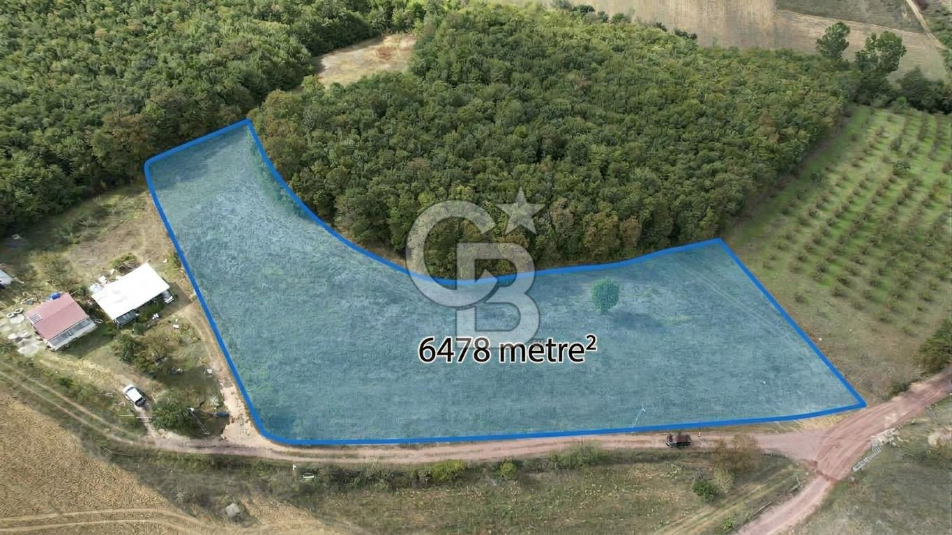 SÜVERLERDE 6.478 m² %5 İMARLI, ALTYAPILI, DOĞAYLA İÇ İÇE TARLA