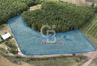 SÜVERLERDE 6.478 m² %5 İMARLI, ALTYAPILI, DOĞAYLA İÇ İÇE TARLA - 1 - 377745