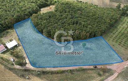SÜVERLERDE 6.478 m² %5 İMARLI, ALTYAPILI, DOĞAYLA İÇ İÇE TARLA
