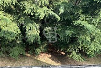 DİKMEN VADİSİ İLKADIM MAHALLESİNDE KİRALIK DAİRE - 10 - 377762
