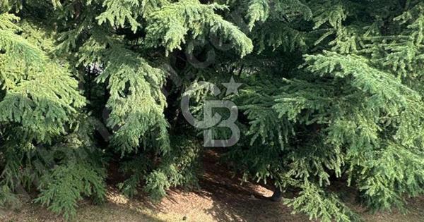 DİKMEN VADİSİ İLKADIM MAHALLESİNDE KİRALIK DAİRE - 377762