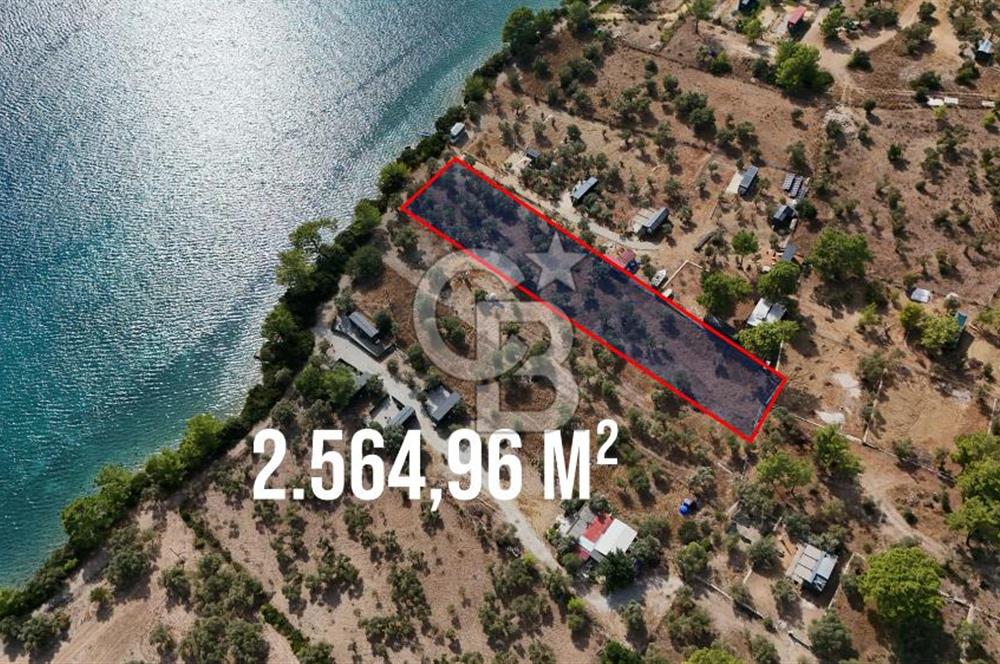 MUĞLA AKBÜK’TE SATILIK 2.564,96 m² DENİZE SIFIR | EŞSİZ KIYI KONUMU