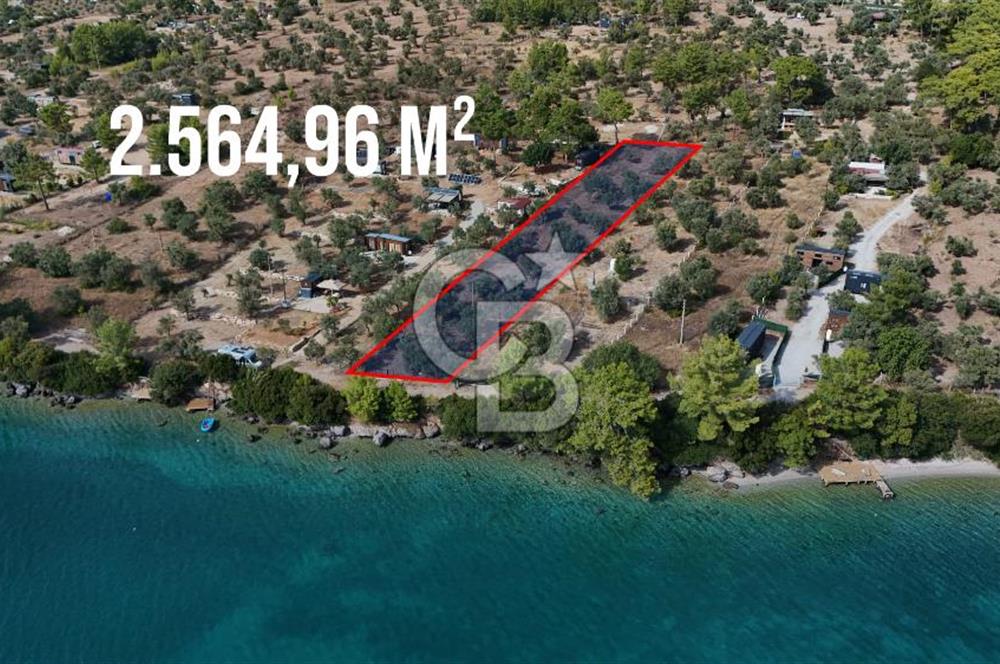 MUĞLA AKBÜK’TE SATILIK 2.564,96 m² DENİZE SIFIR | EŞSİZ KIYI KONUMU