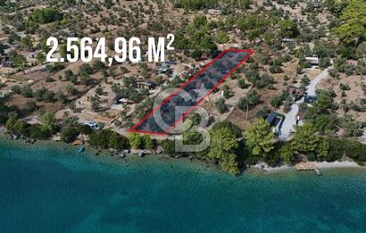MUĞLA AKBÜK’TE SATILIK 2.564,96 m² DENİZE SIFIR | EŞSİZ KIYI KONUMU