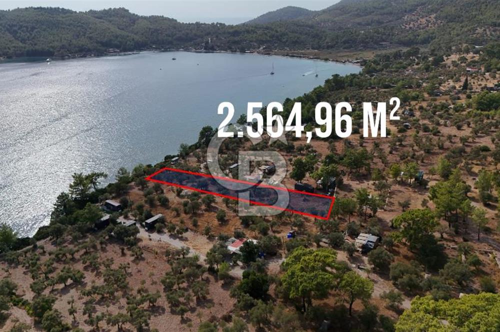 MUĞLA AKBÜK’TE SATILIK 2.564,96 m² DENİZE SIFIR | EŞSİZ KIYI KONUMU