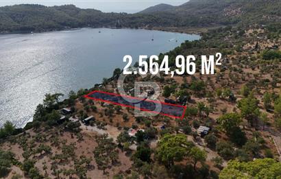 MUĞLA AKBÜK’TE SATILIK 2.564,96 m² DENİZE SIFIR | EŞSİZ KIYI KONUMU
