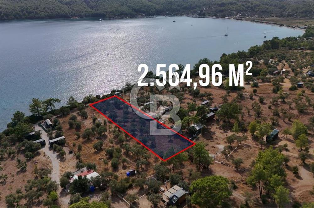 MUĞLA AKBÜK’TE SATILIK 2.564,96 m² DENİZE SIFIR | EŞSİZ KIYI KONUMU
