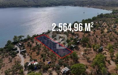 MUĞLA AKBÜK’TE SATILIK 2.564,96 m² DENİZE SIFIR | EŞSİZ KIYI KONUMU