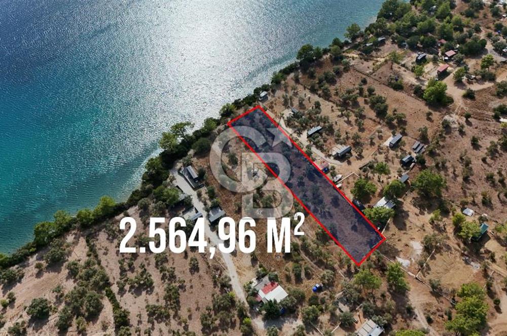 MUĞLA AKBÜK’TE SATILIK 2.564,96 m² DENİZE SIFIR | EŞSİZ KIYI KONUMU