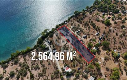 MUĞLA AKBÜK’TE SATILIK 2.564,96 m² DENİZE SIFIR | EŞSİZ KIYI KONUMU