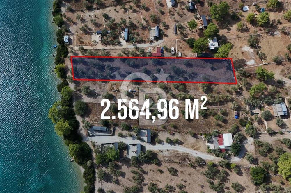 MUĞLA AKBÜK’TE SATILIK 2.564,96 m² DENİZE SIFIR | EŞSİZ KIYI KONUMU