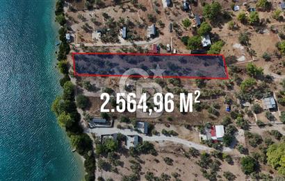 MUĞLA AKBÜK’TE SATILIK 2.564,96 m² DENİZE SIFIR | EŞSİZ KIYI KONUMU