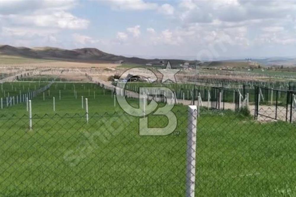 GARDENYA PLUS – ANKARA’NIN EN ÖZEL PROJE ALANINDA YATIRIM FIRSATI 