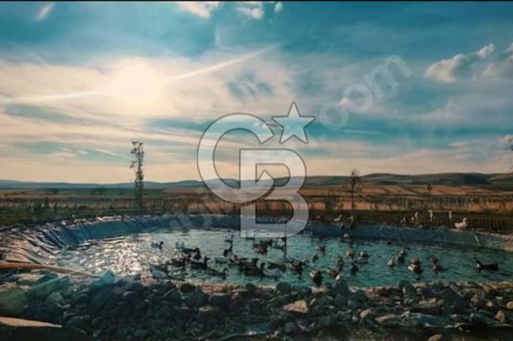 GARDENYA PLUS – ANKARA’NIN EN ÖZEL PROJE ALANINDA YATIRIM FIRSATI 