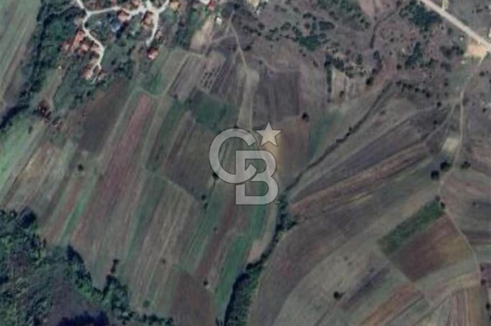 İZMİT ŞAHİNLER'DE 2.244 m² SATILIK TARLA