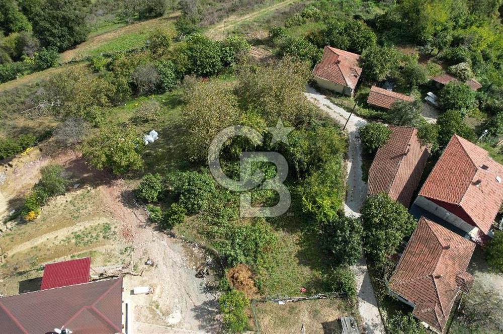 SÜVERLERDE 6.478 m² %5 İMARLI, ALTYAPILI, DOĞAYLA İÇ İÇE TARLA