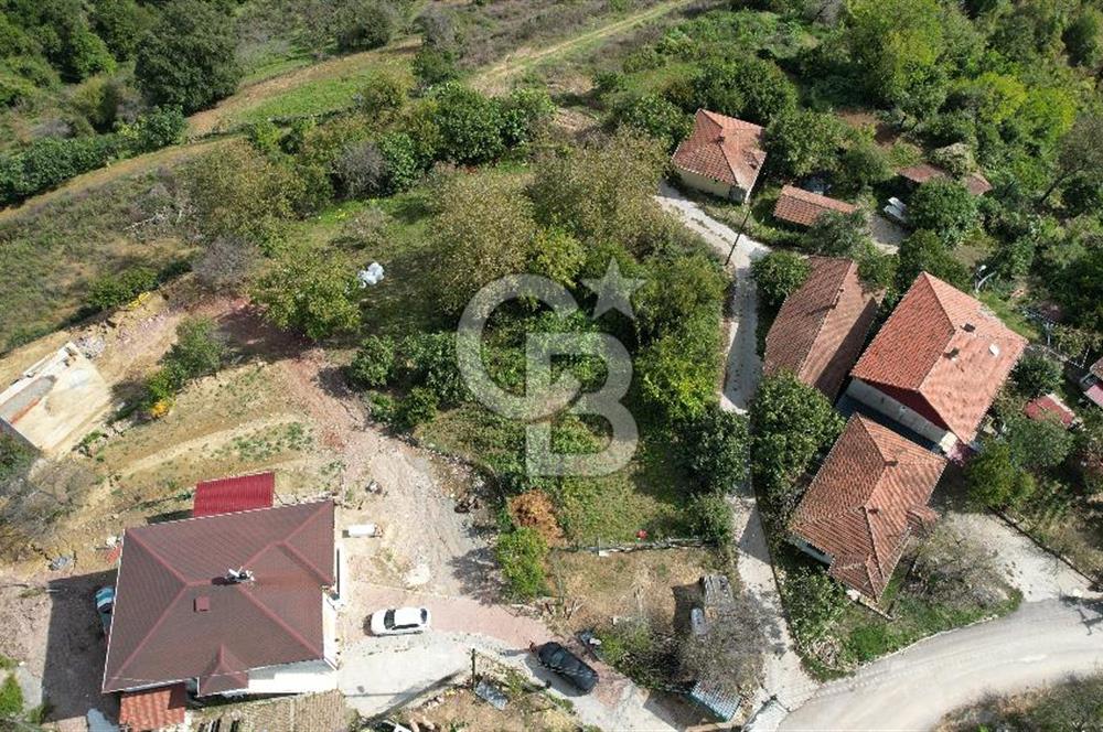 SÜVERLERDE 6.478 m² %5 İMARLI, ALTYAPILI, DOĞAYLA İÇ İÇE TARLA