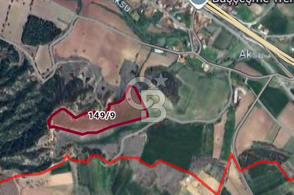 Bozkurt Başçeşme de Merkeze 450m Bademli Tarla