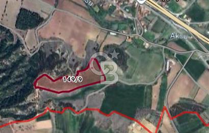 Bozkurt Başçeşme de Merkeze 450m Bademli Tarla