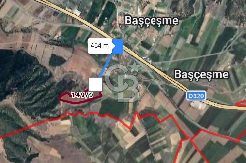 Bozkurt Başçeşme de Merkeze 450m Bademli Tarla