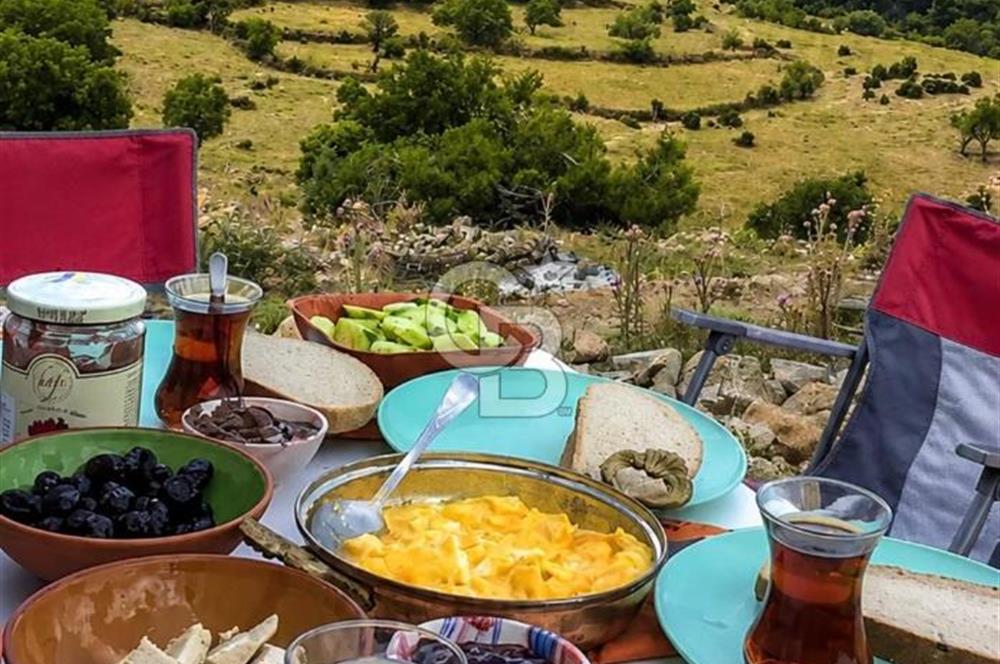 Çanakkale Merkez Kadastral Yol Olan Bahçe