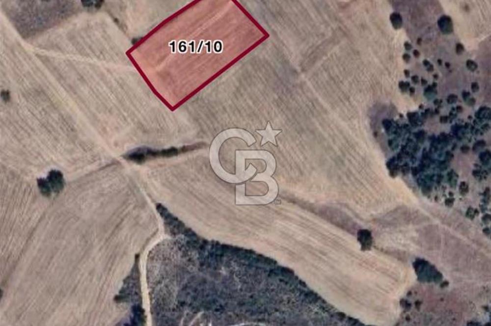 Bilecik Osmaneli Soğucakpınar'da Satılık 4.500 m² Sulu Tarla