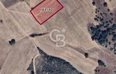 Bilecik Osmaneli Soğucakpınar'da Satılık 4.500 m² Sulu Tarla