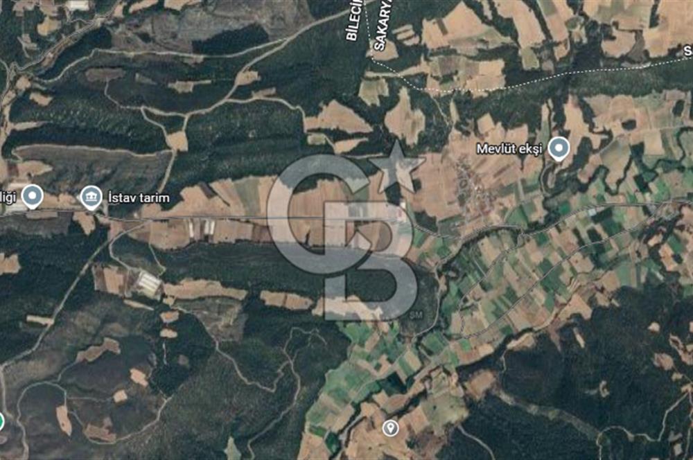 Bilecik Osmaneli Soğucakpınar'da Satılık 4.500 m² Sulu Tarla