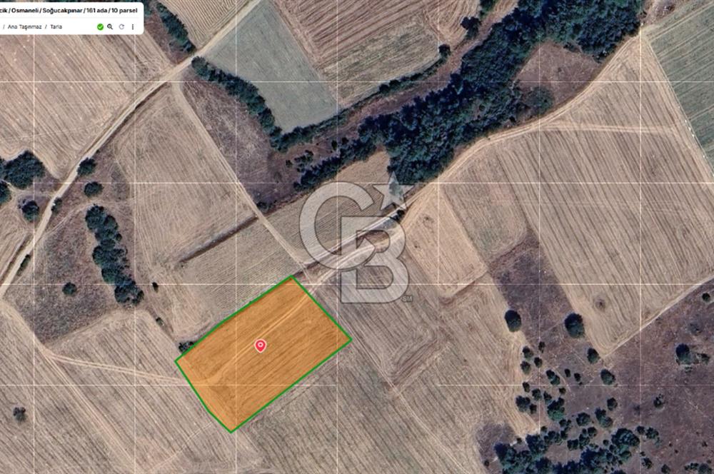 Bilecik Osmaneli Soğucakpınar'da Satılık 4.500 m² Sulu Tarla