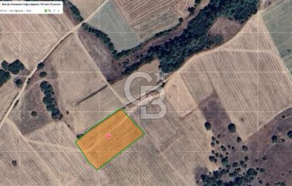 Bilecik Osmaneli Soğucakpınar'da Satılık 4.500 m² Sulu Tarla