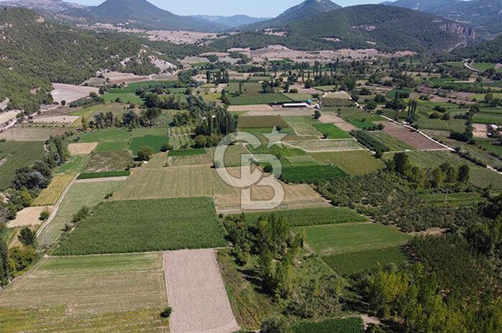Bilecik Osmaneli Soğucakpınar'da Satılık 4.500 m² Sulu Tarla