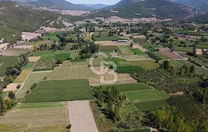 Bilecik Osmaneli Soğucakpınar'da Satılık 4.500 m² Sulu Tarla